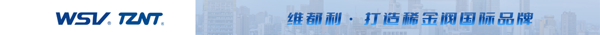 维都利阀门有限公司